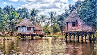 (4K) Península de Zapata National Park, Cuba