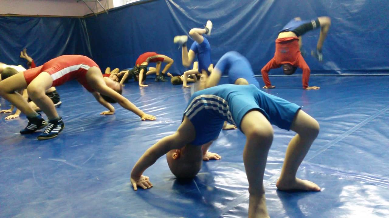 Греко Римская борьба гибкость