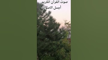 تلاوه خاشعة من القرآن الكريم 🤲  ♥️راحه نفسيه ♥️🤲 #اكسبل اللهم اجعل القرآن ربيع قلوبنا ونور صدورنا