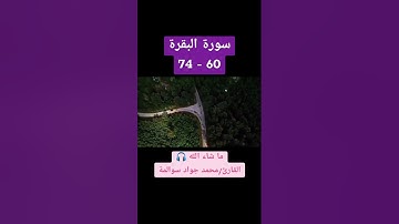 سورة البقرة 60 - 74: القارئ/محمد جواد سوالمة