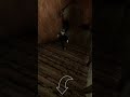 Evil doll part 2#horror game#short feed
