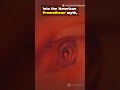 Oppenheimer —the real story behind the most important film of 2023. #oppenheimer #shortsvideo #viral