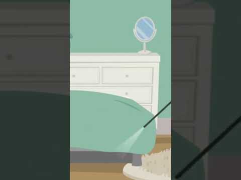 شركة مكافحة حشرات بجدة