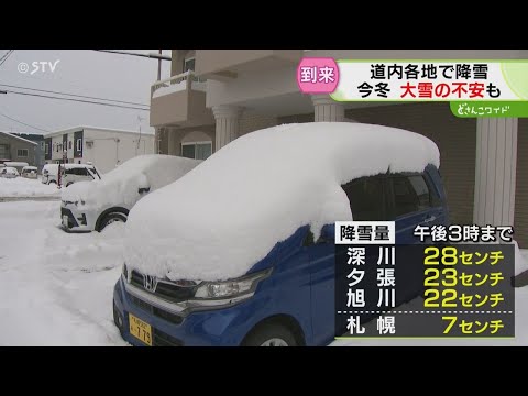 【半額】北海道野球の真髄 旭川工業  積雪1mマイナス20度でもここまでできる ジャパンライム 北海道野球の真髄 旭川工業 佐藤桂一 771-S 全2