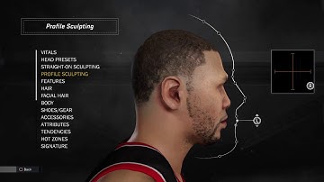 NBA 2K18   HOW TO MAKE BRANDON ROY