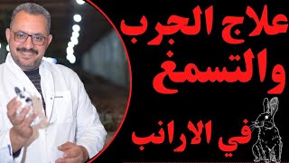 علاج الجرب والتسمغ عند الارانب