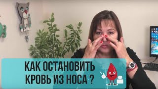 Что делать при носовом кровотечении?