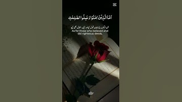 🤲 #القرآن_الكريم #cute تلاوة خاشعة من الذكر الحكيم لا حزن يبقى والقرآن يتلى #duet #اكسبلور