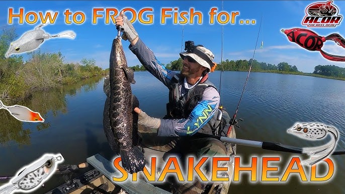 Snakehead Fishing Top Ten Baits . How to Catch Bigger and More Snakeheads .  Tips and Tricks . 