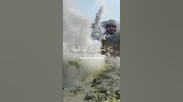 تلاوة مؤثرة من سورة إبراهيم لفضيلة الشيخ ياسر الدوسري #القرآن_الكريم #religion #quran #تجويد