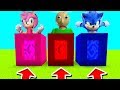 Minecraft PE : DO NOT CHOOSE THE WRONG PORTAL! (Amy Rose, Baldi's Basics & Sonic)