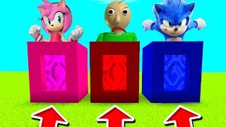 Minecraft PE : DO NOT CHOOSE THE WRONG PORTAL! (Amy Rose, Baldi's Basics & Sonic)