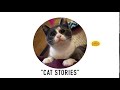 Historias de Gatos trailer Cat stories