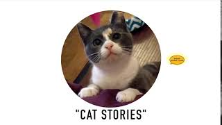 Historias de Gatos trailer Cat stories by Cat stories 37 views 3 years ago 9 seconds