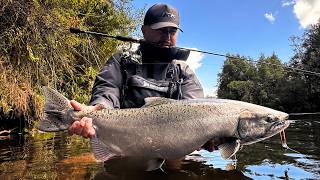 Así atrapé un SALMÓN CHINOOK ¡Con una cañita para TRUCHAS!