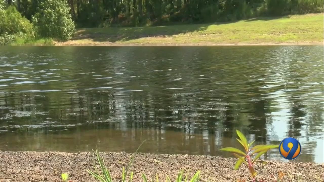 2 area ponds test positive for toxic algae harmful to humans, pets