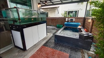 Nguang The Grand - งานขนย้ายตู้ปลา 60 24 ออกแล้วติดตั้งตู้ใหม่ 84 30 พ่วงกรองล่างและงานระบบ Set 1