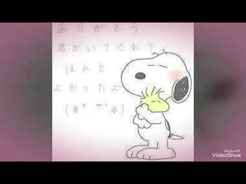 加工動画作ってみた 使った画像 ペア画 Youtube