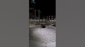 سورة التكوير -ج2- الشيخ بدر التركي