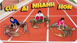 Tony | Đua Cua - Crab Race