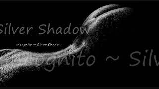 Incognito ~ Silver Shadow