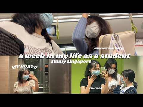 student vlog diaries ep 4