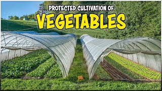 Protected cultivation of Vegetables crops for Sustainable food Production