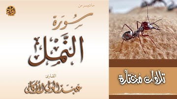 "قل الحمد لله وسلام على عباده الذين اصطفى" سورة النمل Section of Surah An-Naml #عبدالولي_الاركاني
