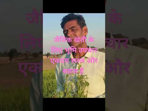 जैविक खेती के लिए भूमि उपचार एकदम सरल और फ्री है किसी भी जमीन को एक दो साल में तेयार कर सकते हैं
