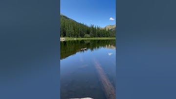 Take a break from scrolling and enjoy some nature! #nature #hiking #calmingsounds #lakesounds