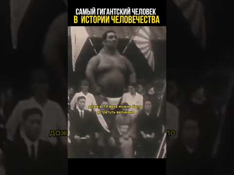 Самый огромный человек в истории человечества #история #познавательное #цивилизации
