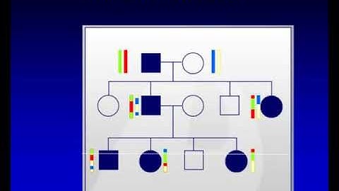 single nucleotide polymorphism copy number variations and snp array