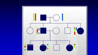 single nucleotide polymorphism copy number variations and snp array
