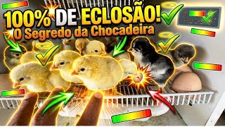 COMO EU CONSIGO FAZER MINHA CHOCADEIRA TIRAR TODOS OS PINTINHOS. 