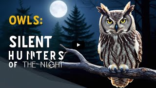 10 fascinating facts about owls
