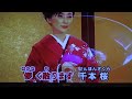 吉野 千本桜 葵かを里・♬伊藤きみ江