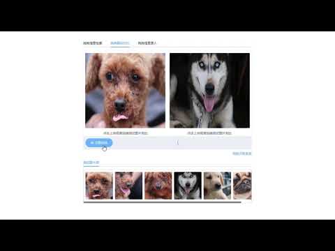 Dog Noise/face detection