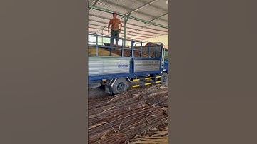 Lá dừa nước lợp nhà ai cần liên hệ vựa lá dừa Vân 0909143895