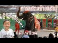 โชว์ช้างแสนรู้ The Elephant Show วังช้างอยุธยาแลเพนียด อยุธยา ประเทศไทย (Ayutthaya, Thailand)