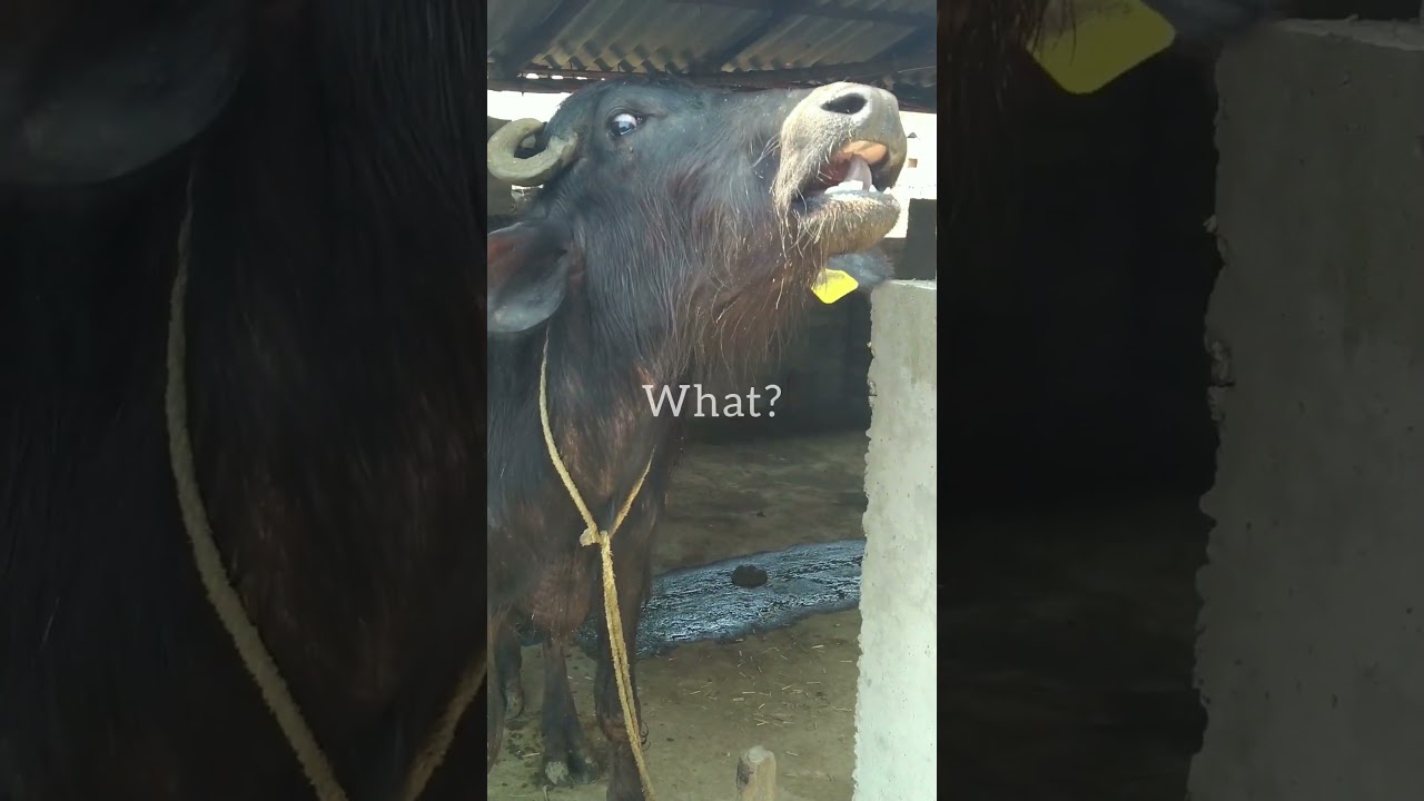 her reaction on camera 😅😅