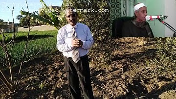 ابن قنا ..قارئ إذاعة القرآن الكريم حالياً ( الشيخ المتواضع / حسن عوض الصعيدى الدشناوى )