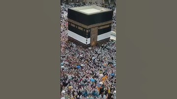 سورة الحج Surah Al-Hajj الآيات 27-28 #قرآن #راحة_نفسية #quranchapter #quransurah #قران_كريم