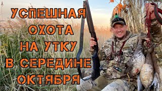 видео: ЕЩЁ ОДНА УСПЕШНАЯ ОХОТА НА УТКУ В СЕРЕДИНЕ ОКТЯБРЯ. Охота с подсадной, чучелами, манком и махокрылом картинка: ЕЩЁ ОДНА УСПЕШНАЯ ОХОТА НА УТКУ В СЕРЕДИНЕ ОКТЯБРЯ. Охота с подсадной, чучелами, манком и махокрылом