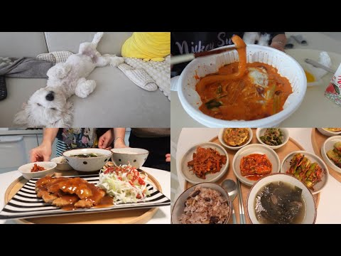 아구찜에 오랜만에 혼술 | 비잔정 2번째 처방 | 콩이 유치 빠진 날 | 분모자 로제 떡볶이,돈까스 만들기,간단 스파게티,김치전