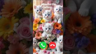 Download Lagu Aberforth calling 🤙🏻✨ #ringtone #calling #cat #cute #trending #foryou #youtube #youtubeshorts #viral MP3 Download Lagu Aberforth calling 🤙🏻✨ #ringtone #calling #cat #cute #trending #foryou #youtube #youtubeshorts #viral MP3
