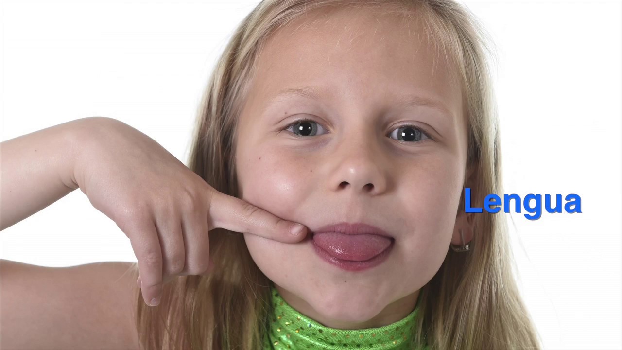 Intervenciones terapéuticas en terapia del habla y lenguaje- Mecanismo Oral