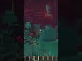 #minecraft The nerther WHAT WAS THAT.?