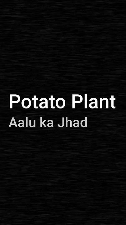 how-to-plant-grow-potatoes-at-home-best-way-to-grow-tons-of