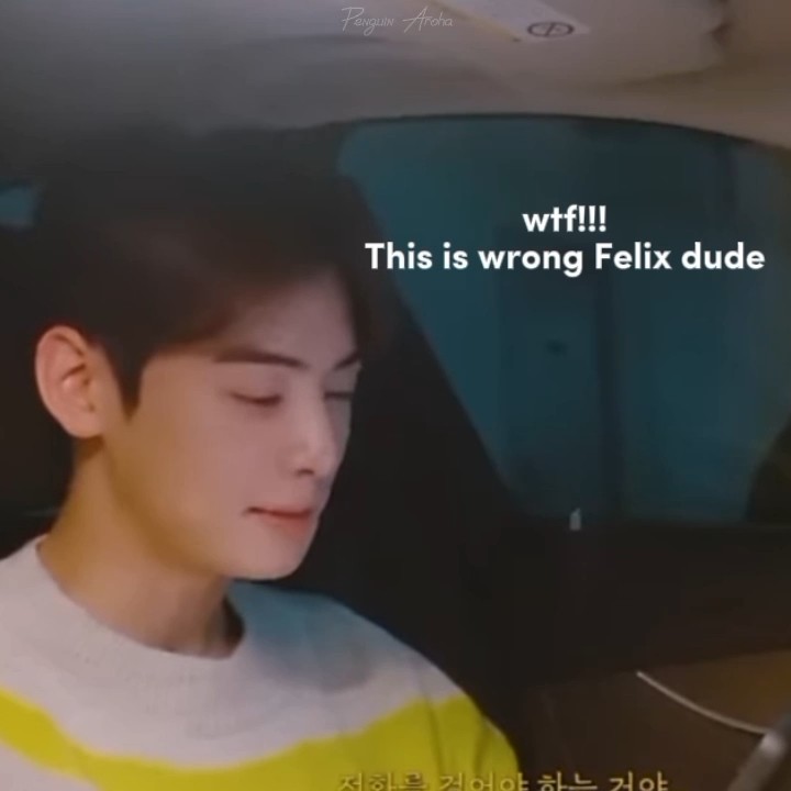 The confusion trend #astro #chaeunwoo #straykids #bangchan