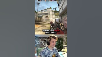 My favorite XQC Clip💀